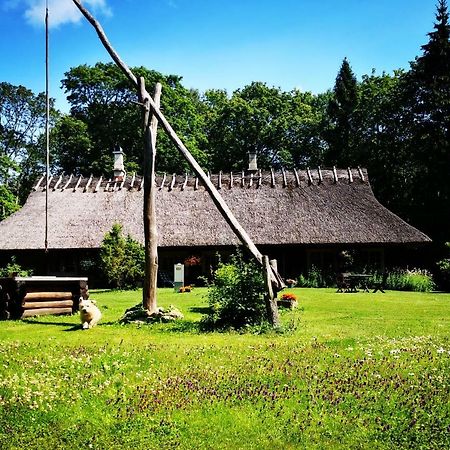 ホテル Kotka Farm Saarekula エクステリア 写真
