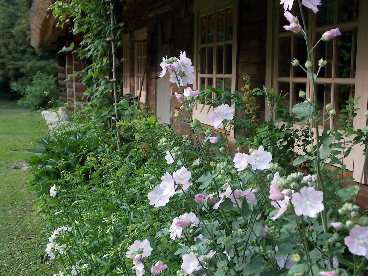 ホテル Kotka Farm Saarekula エクステリア 写真