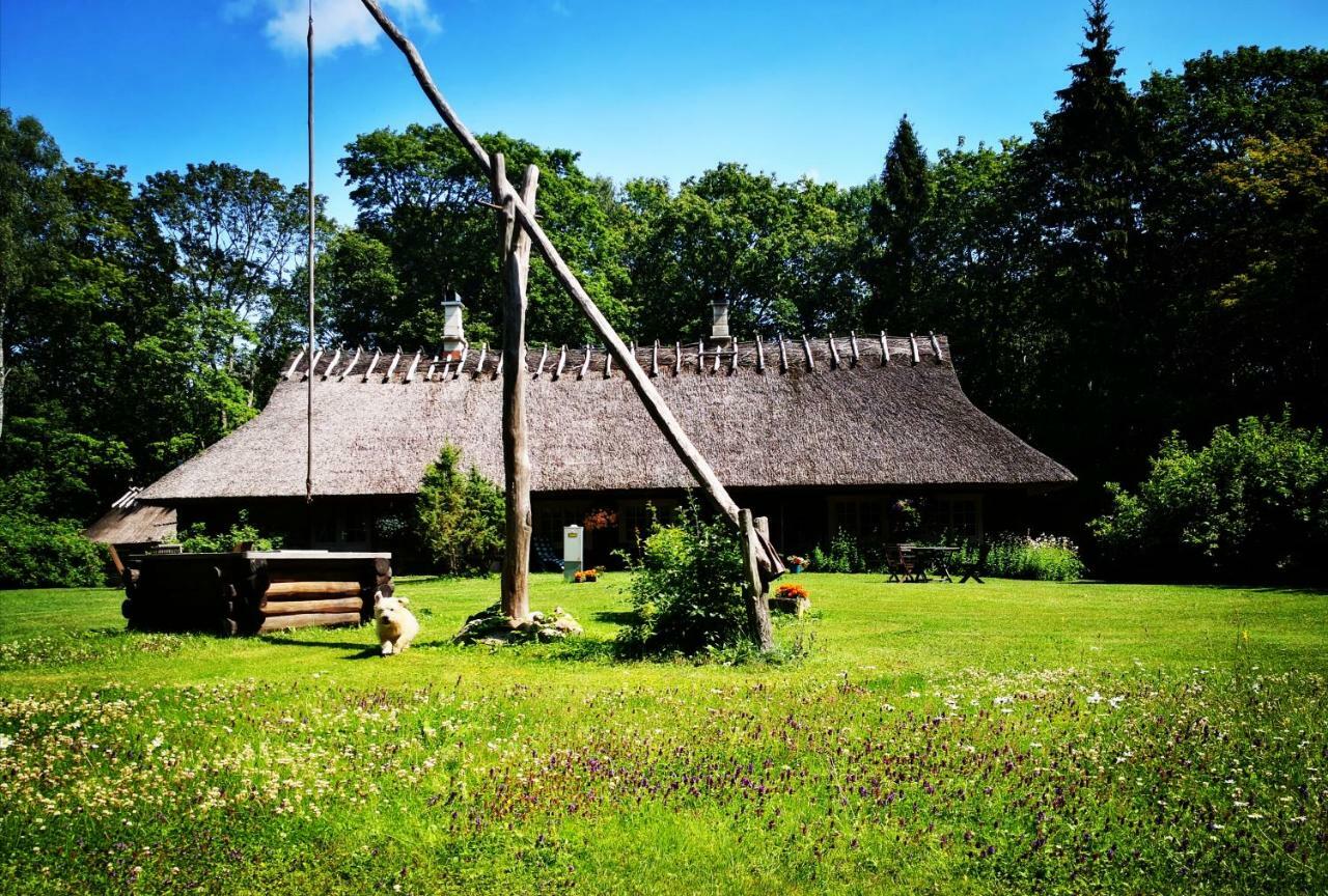 ホテル Kotka Farm Saarekula エクステリア 写真